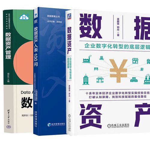 数据资产入表与企业数字化转型 从资产管理到价值重塑的底层逻辑