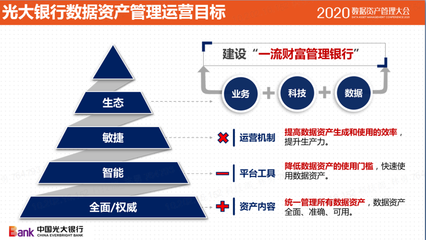 数据资产管理与实践 从理论到落地的资产管理新范式